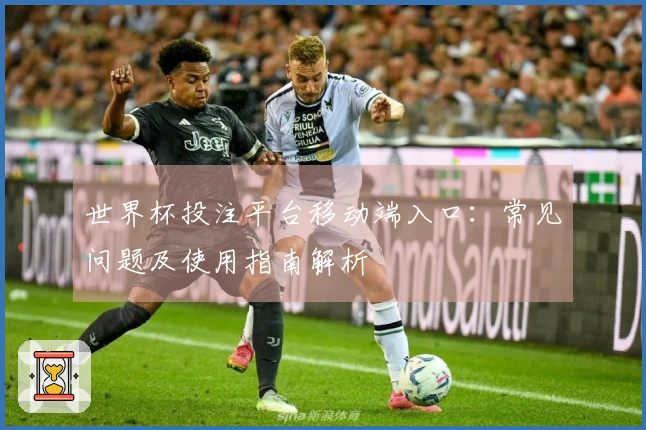 世界杯投注平台移动端入口：常见问题及使用指南解析