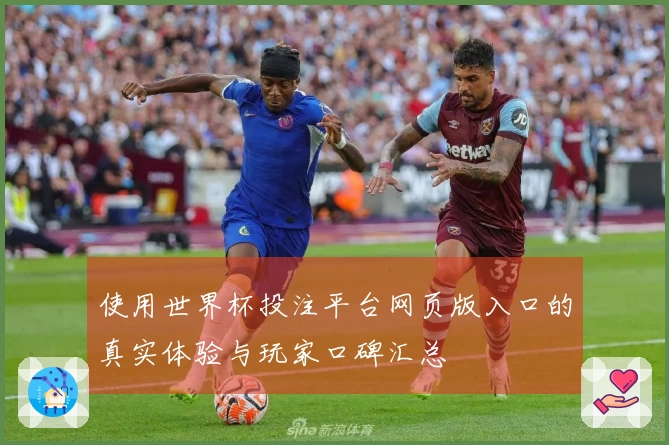 使用世界杯投注平台网页版入口的真实体验与玩家口碑汇总