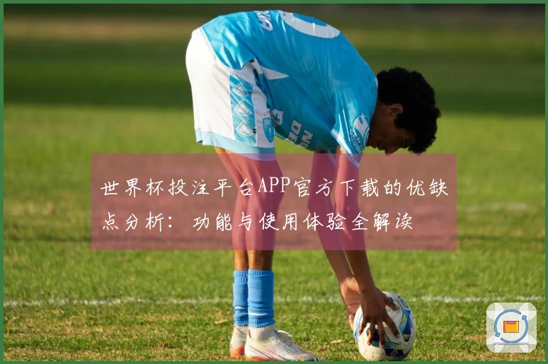 世界杯投注平台APP官方下载的优缺点分析：功能与使用体验全解读