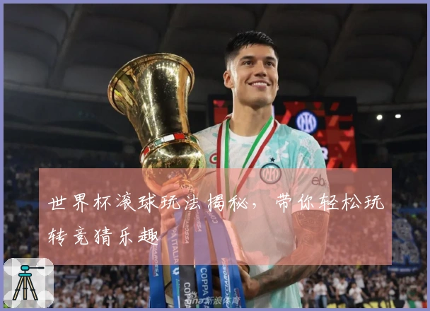 世界杯滚球玩法揭秘,带你轻松玩转竞猜乐趣