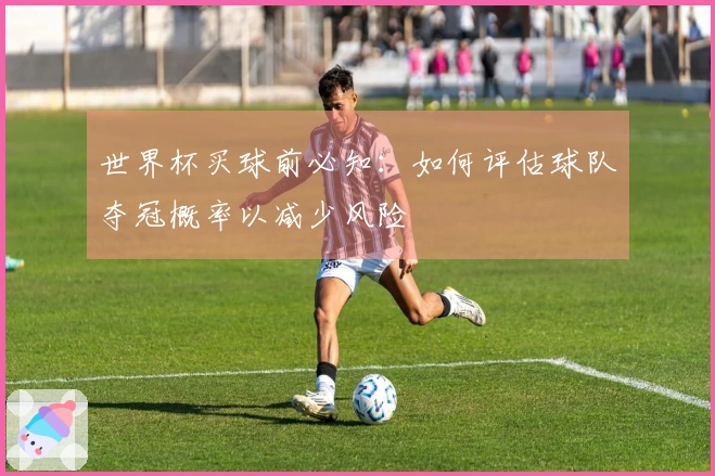 世界杯买球前必知：如何评估球队夺冠概率以减少风险