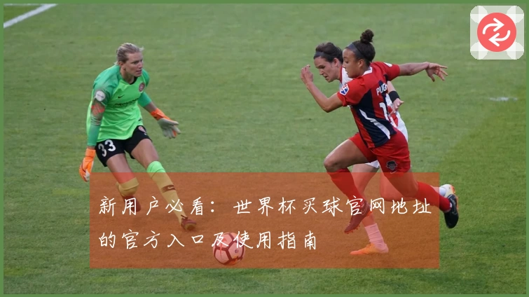 新用户必看：世界杯买球官网地址的官方入口及使用指南