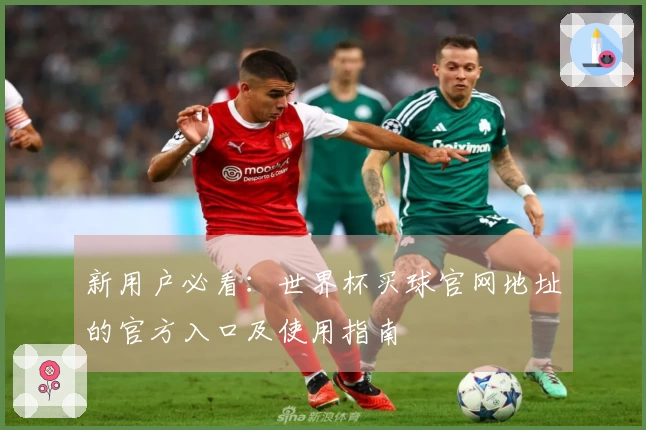 新用户必看：世界杯买球官网地址的官方入口及使用指南