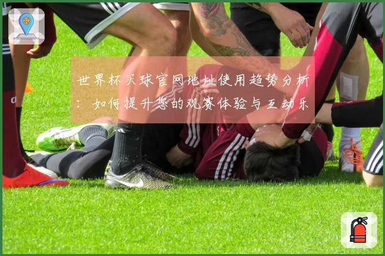 世界杯买球官网地址使用趋势分析:如何提升您的观赛体验与互动乐趣
