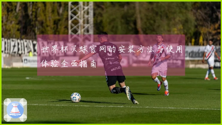 世界杯买球官网的安装方法与使用体验全面指南
