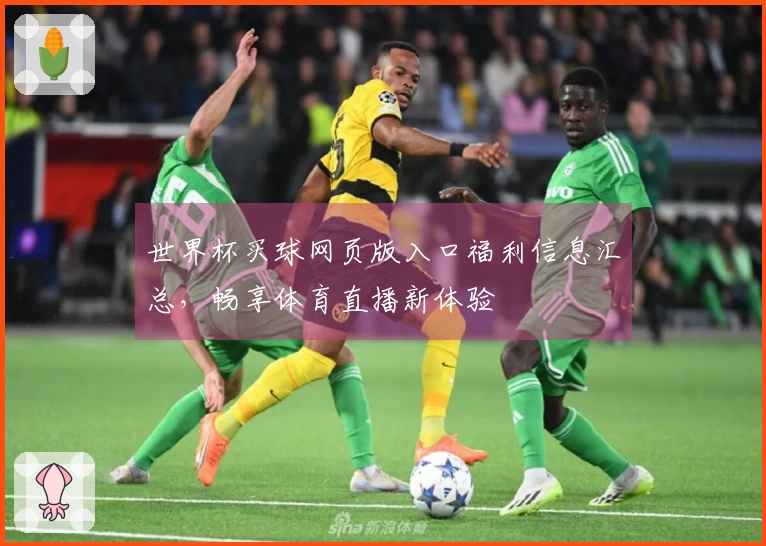 世界杯买球网页版入口福利信息汇总，畅享体育直播新体验