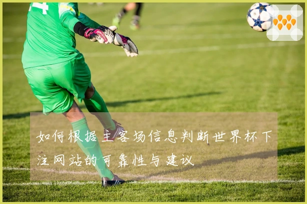 如何根据主客场信息判断世界杯下注网站的可靠性与建议
